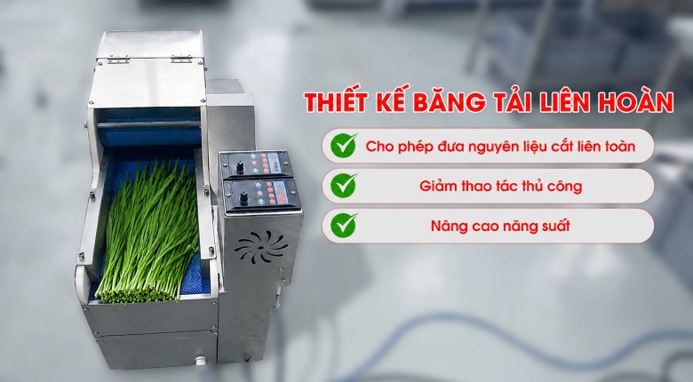 Thiết kế băng tải liên hoàn, tăng năng suất làm việc