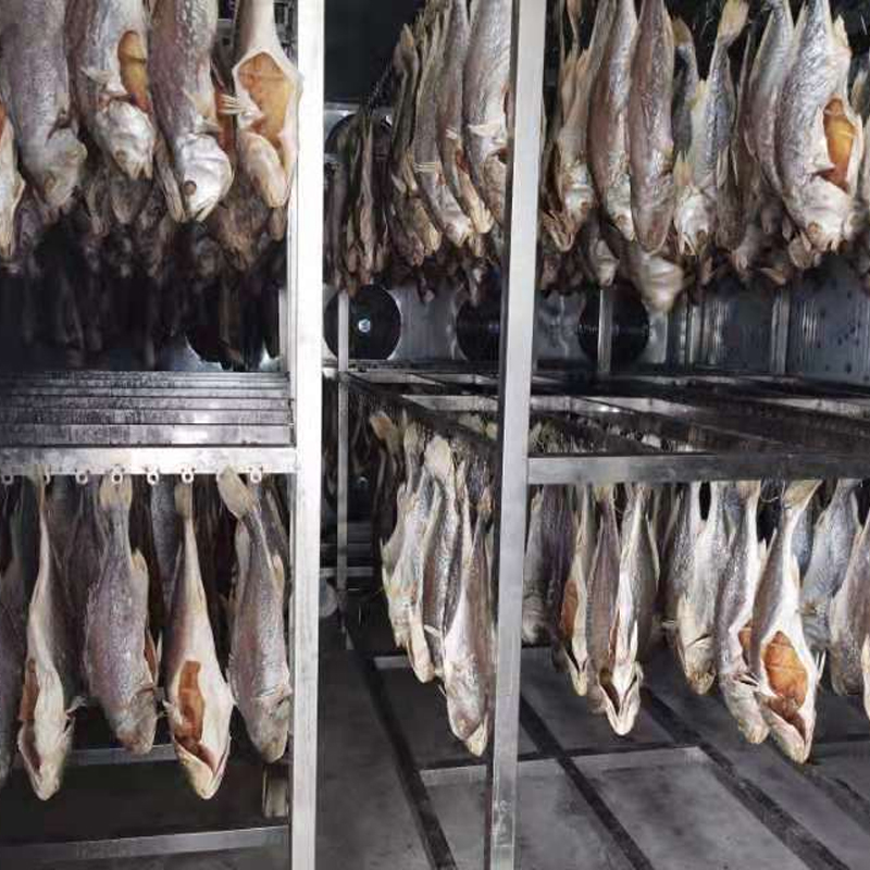 Máy sấy cá là gì? TOP 5 máy sấy cá được ưa chuộng hiện nay