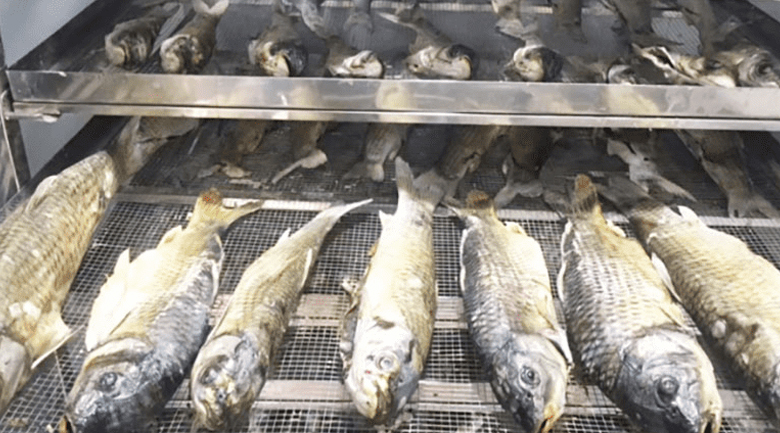 máy sấy cá, tiêu chí