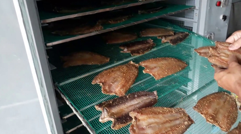 máy sấy cá