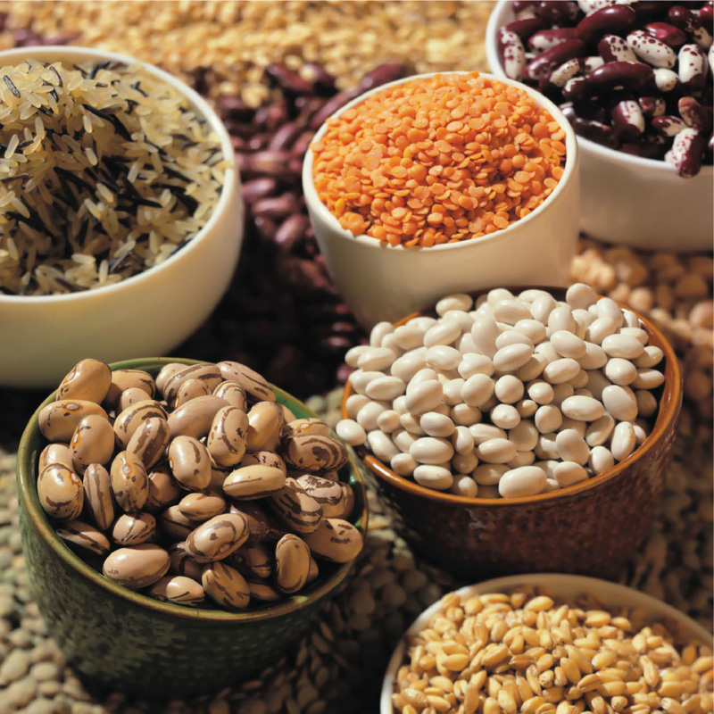 TOP 5 máy sấy nông sản công nghiệp bán chạy hiện nay