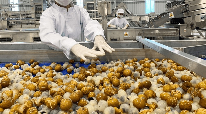 máy sấy nông sản công nghiệp