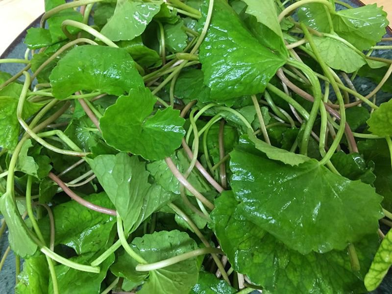 Rửa sạch nguyên liệu trước khi tiến hành xay 