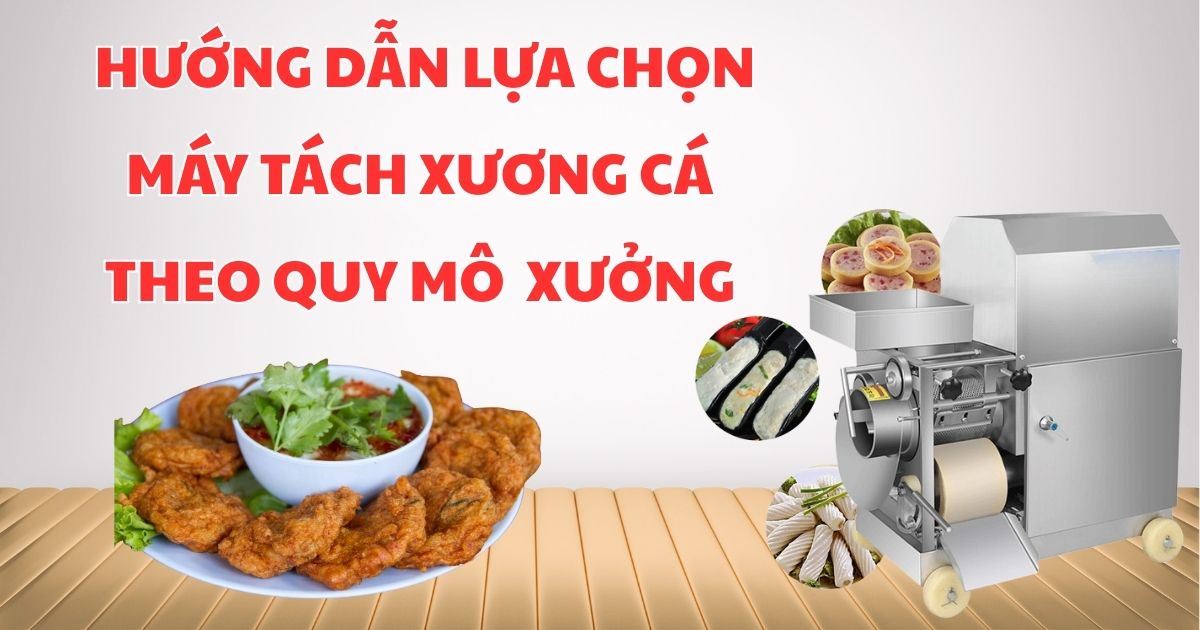 Hướng dẫn lựa chọn máy tách xương cá theo quy mô xưởng chi tiết