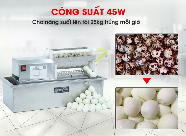 Năng suất ấn tượng, lên tới 25kg trứng cút mỗi giờ 