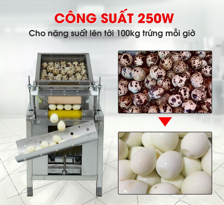 Lột nhanh, năng suất lên tới 100kg/giờ