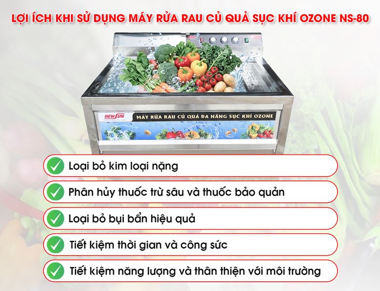 Những lợi ích tuyệt vời khi dùng máy rửa rau quả sục khí ozone