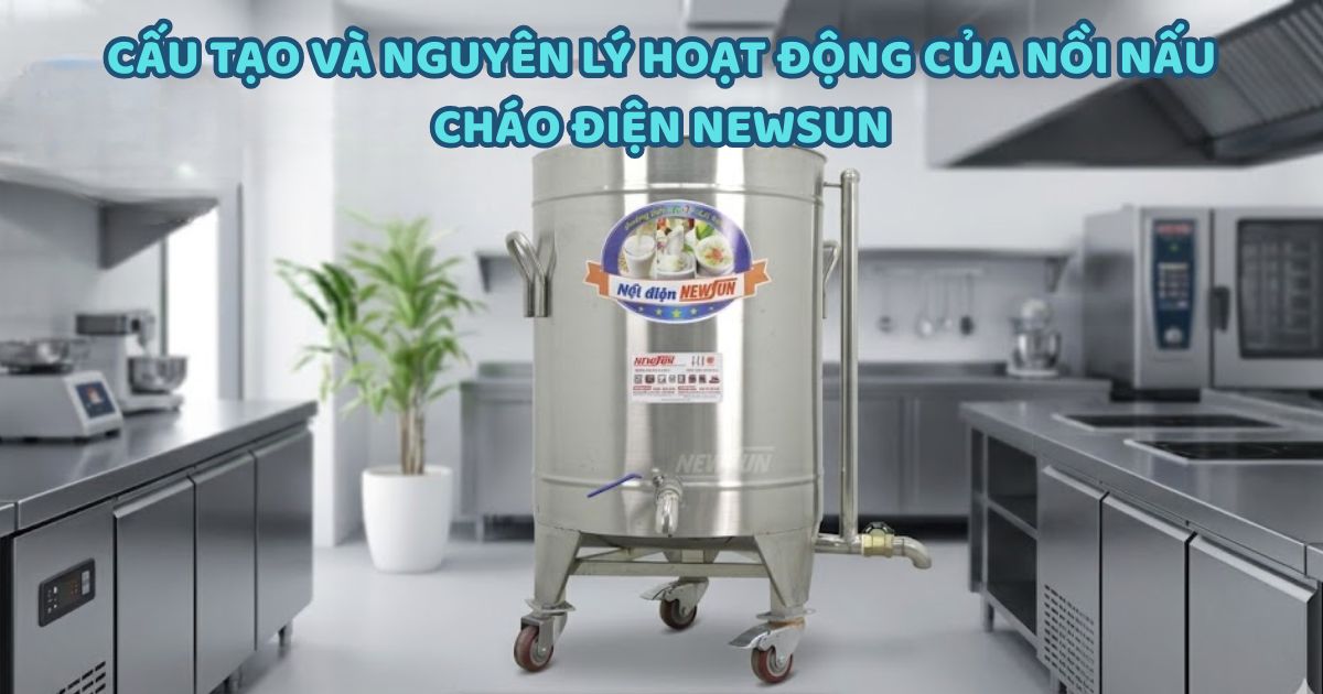 Cấu tạo và nguyên lý hoạt động của nồi nấu cháo điện NEWSUN