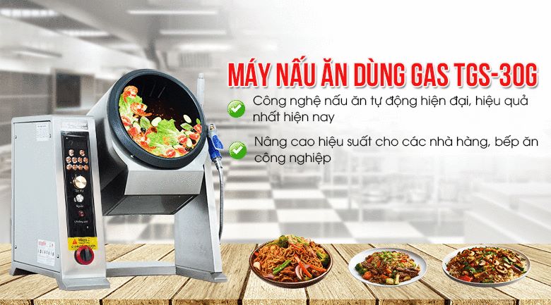 Máy xào rau dùng gas TGS-30G