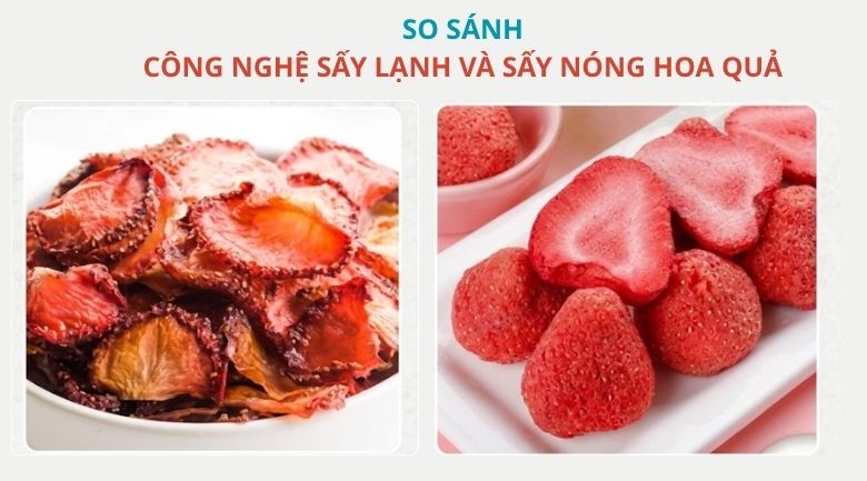 So sánh công nghệ sấy lạnh và sấy nóng hoa quả