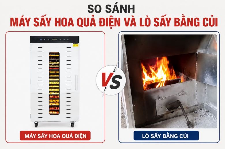 So sánh máy sấy hoa quả điện và lò sấy bằng củi