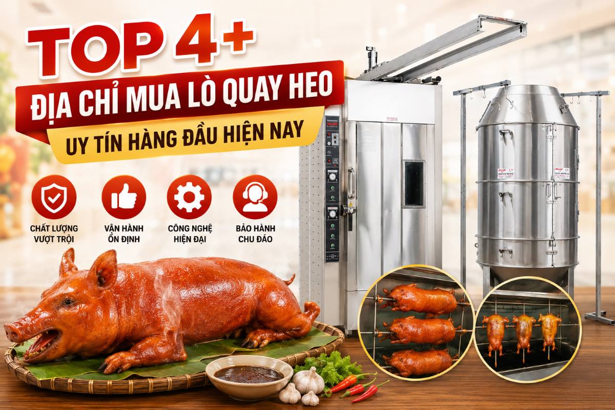 Top 4+ địa chỉ mua lò quay heo uy tín hàng đầu năm 2026