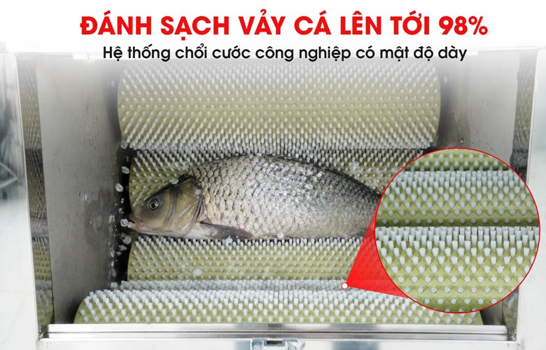Cửa nạp cá rộng, đánh vảy bằng chổi cước chuyên dụng