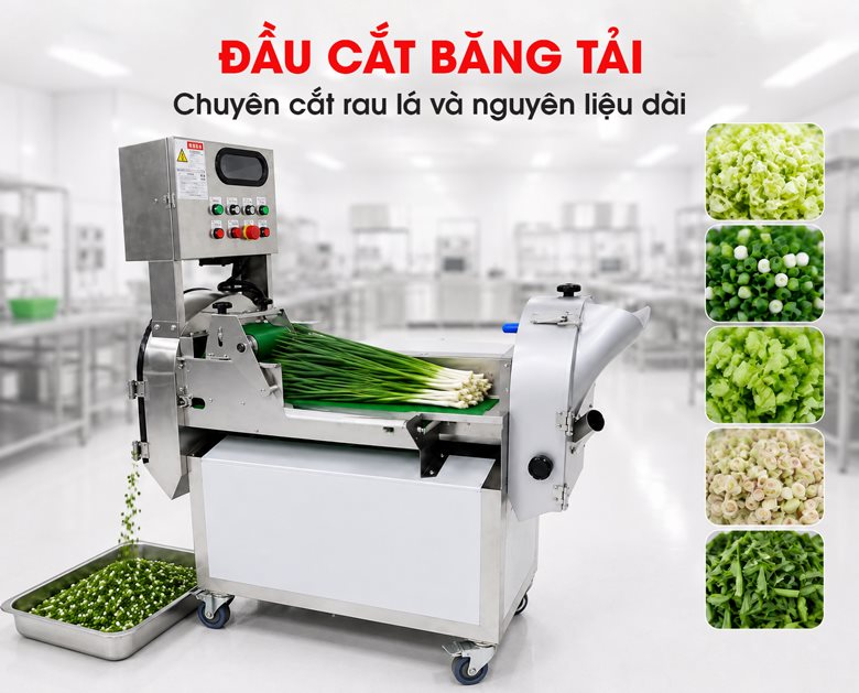 Chuyên cắt rau lá và nguyên liệu dài 