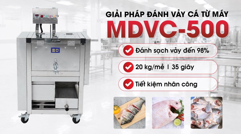 Giải pháp giúp đánh vảy cá nhanh sạch từ NEWSUN