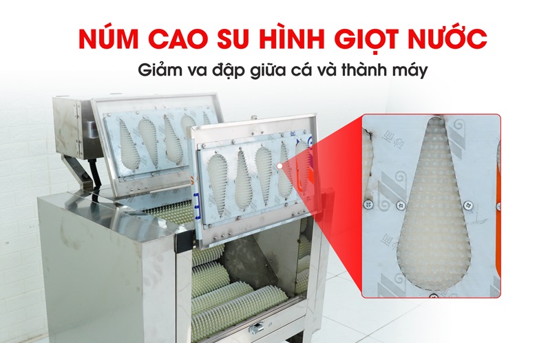 Hệ thống núm cao su hỗ trợ đảo cá